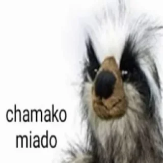 😒 emoji Memes chisyosos Telegram sticker 20 of 120