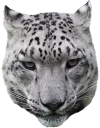 😤 emoji Snep Lep Blep Telegram sticker 5 of 119