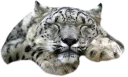 😴 emoji Snep Lep Blep Telegram sticker 13 of 119