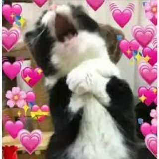 ❤️‍🔥 emoji lovezin @lbrabo Telegram sticker 5 of 57