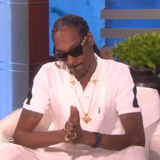 🎲 emoji Snoop Dogg Telegram sticker 24 of 35