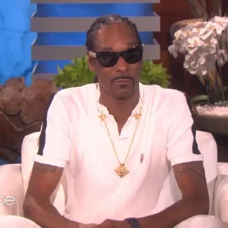 🎲 emoji Snoop Dogg Telegram sticker 8 of 35