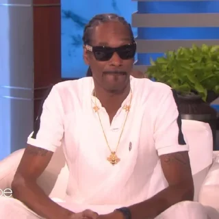 🎲 emoji Snoop Dogg Telegram sticker 14 of 35