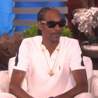 🎲 emoji Snoop Dogg Telegram sticker 6 of 35