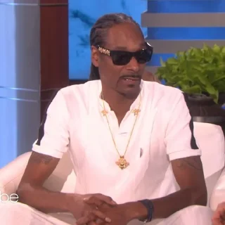 🎲 emoji Snoop Dogg Telegram sticker 23 of 35