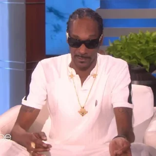 🎲 emoji Snoop Dogg Telegram sticker 19 of 35