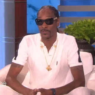 🎲 emoji Snoop Dogg Telegram sticker 17 of 35