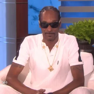 🎲 emoji Snoop Dogg Telegram sticker 11 of 35