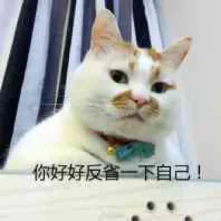 😒 emoji 喵咪咪 Telegram sticker 7 of 48