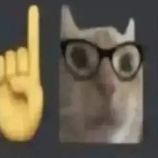 Sticker from Cat