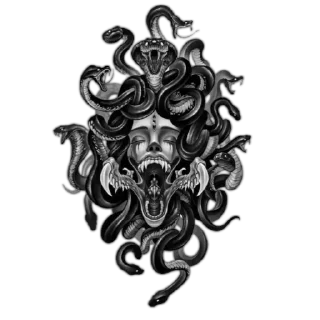 🐍 emoji ༺᭄⃨ꕥANJO NEGRO♡‌𖣔❥̤͚̥֟ Telegram sticker 22 of 32