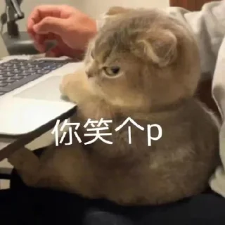 🤯 emoji 海外联盟专属表情包 Telegram sticker 13 of 25