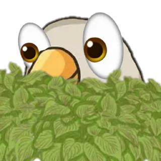 🐦 emoji Pru Telegram sticker 5 of 74