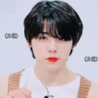 🦜 emoji Seongmin by @aratickers Telegram sticker 20 of 33