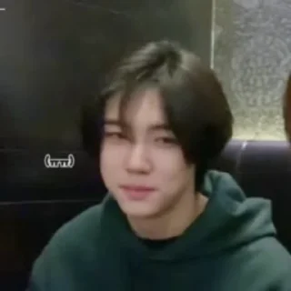 🦜 emoji Seongmin by @aratickers Telegram sticker 6 of 33