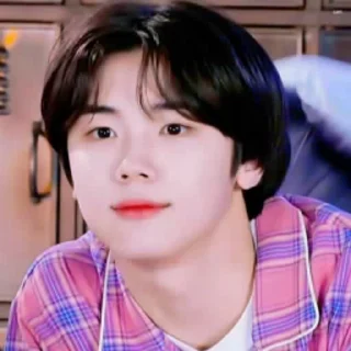 🦜 emoji Seongmin by @aratickers Telegram sticker 16 of 33