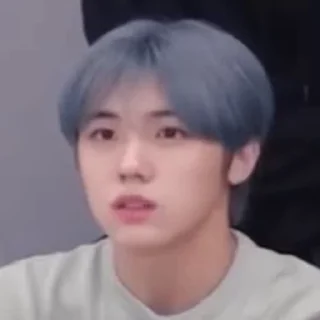 🦜 emoji Seongmin by @aratickers Telegram sticker 10 of 33