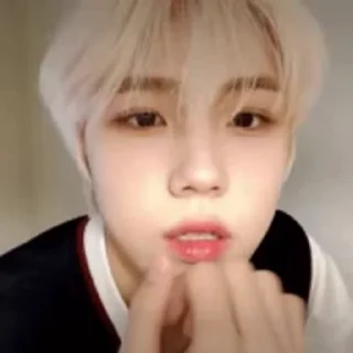 🦜 emoji Seongmin by @aratickers Telegram sticker 7 of 33