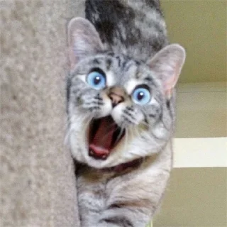 😲 emoji 休哥收藏的贴纸 Telegram sticker 10 of 50