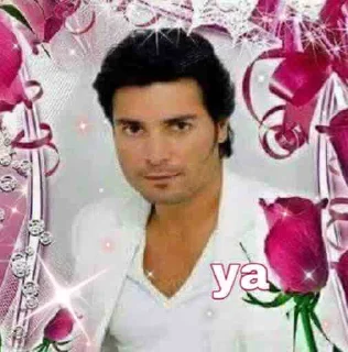 🌷 emoji papi chayanne Telegram sticker 5 of 13