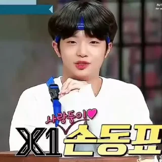 🦜 emoji Dongpyo by @aratickers Telegram sticker 17 of 24