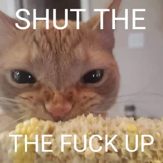 🐈 emoji Cat Eating Corn Telegram sticker 5 of 29