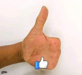 👍 emoji Shitposting 1 Telegram sticker 15 of 43