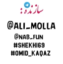 Sticker from Bozorgan @nab_fun
