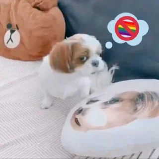 🐶 emoji joana mal do mundo Telegram sticker 8 of 50