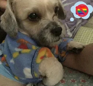 🏳‍🌈 emoji joana mal do mundo Telegram sticker 7 of 50