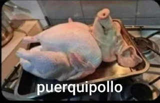 🐔 emoji chiananan Telegram sticker 19 of 114