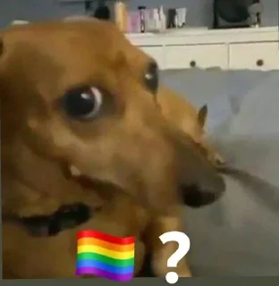 🏳️‍🌈 emoji Polygon 🏳‍🌈? Telegram sticker 13 of 45
