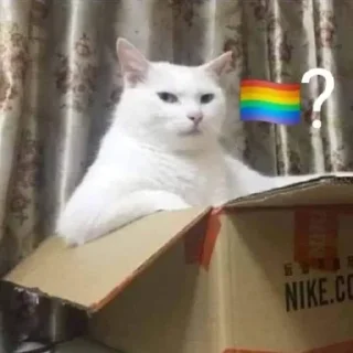 🏳‍🌈 emoji 🏳‍🌈? @lbrabo Telegram sticker 24 of 120