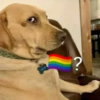 🏳‍🌈 emoji 🏳‍🌈? @lbrabo Telegram sticker 14 of 120