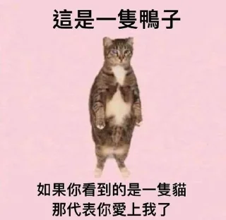 ✨ emoji 混沌专属3 @xaoxp Telegram sticker 2 of 120