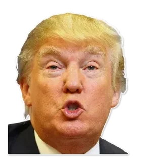 😊 emoji Donny-Trump Telegram sticker 13 of 28