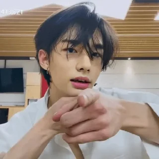 ❤️ emoji SKZ Telegram sticker 17 of 120