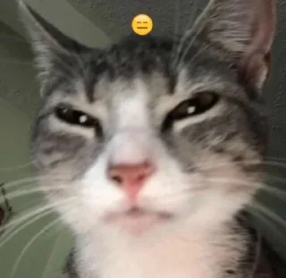 😑 emoji Andrómeda Steal Pack 2 Telegram sticker 16 of 120