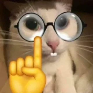 🤓 emoji Eu Telegram sticker 22 of 55