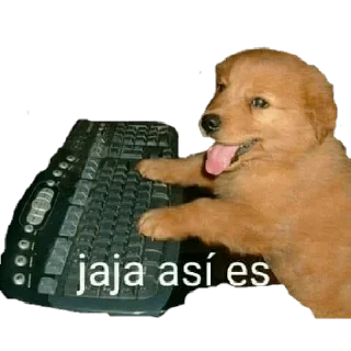 😆 emoji MEMES DE PERROS - [Instagram: @WiStickers] Telegram sticker 15 of 26