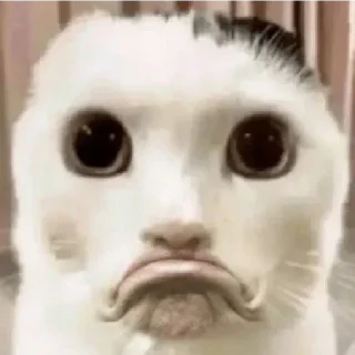 😁 emoji Favorites • @sticbot Telegram sticker 7 of 39