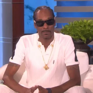 🎲 emoji Snoop Dogg Telegram sticker 9 of 35