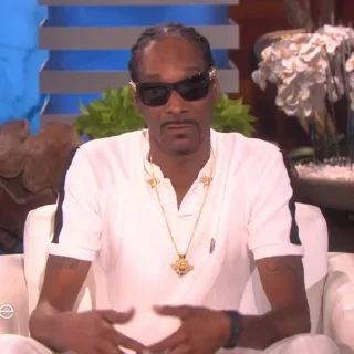 🎲 emoji Snoop Dogg Telegram sticker 7 of 35