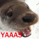 🤙 emoji Ultra Lutra Telegram sticker 9 of 32
