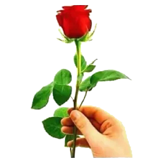 🥀 emoji @positivoser Telegram sticker 21 of 50