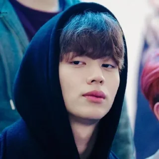 🤨 emoji Sungjae (BTOB) @lemonadestickers Telegram sticker 20 of 98