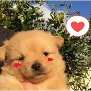 ❤️ emoji Stickers xd Telegram sticker 10 of 75