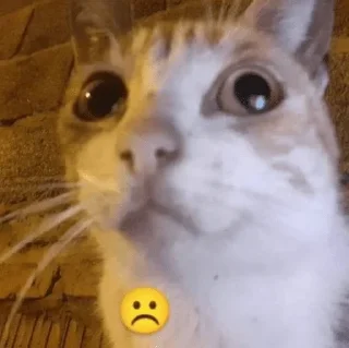 ☹ emoji Domi:3 Telegram sticker 11 of 120