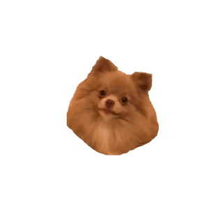 Sticker from Kik