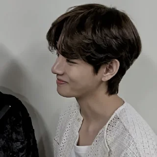 🍶 emoji ㅤ⌦ TAEHYUNG @XXMAFIAWEB Telegram sticker 22 of 95